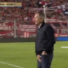 Confira tudo sobre o treinador que foi alvo da diretoria do santos e sonho da torcida do flu: Ariel Holan Descargo Toda Su Furia Contra Un Plateista En El Festejo Ante Aldosivi