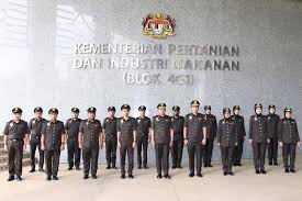 Manakala seksyen kawal selia padi dan beras telah ditubuhkan pada bulan julai tahun 1994 setelah lembaga padi dan beras negara (lpn) korporatkan. Pemakaian Pakaian Seragam Kawalselia Padi Dan Beras Facebook