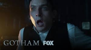 Penguin Is Awakened By A Crash In The Night