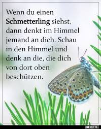 Wenn Du Einen Schmetterling Siehst Dann Denkt Im Himmel In 2020 Aufmunternde Spruche Nachdenkliche Spruche Lebensweisheiten Spruche
