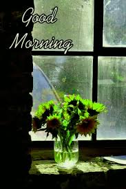 Us orders of $35+ from any participating shop now ship free. á… Top 55 Good Morning Images With Flowers Hd Pictures