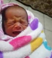 Baby donna ceja girl😘🥰😘 (@donna_cejagirl) • Instagram photos and videos