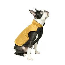 gooby winter wind breaker dog parka for small dogs