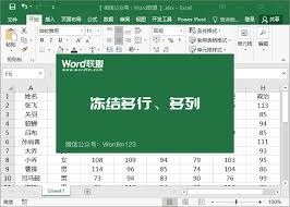 Excel表格冻结窗口怎么使用 同时冻结多行多列数据 站长资讯中心