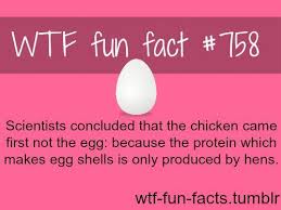 But That Only Answers The Questions What Came First The Chicken Or An Egg Layed By A Chicken Witch Is Obvious Wtf Fun Facts Fun Facts Funny Facts