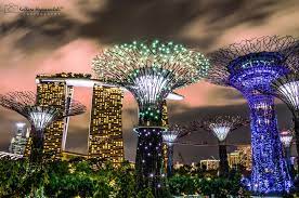 Marina Bay Sands Garden By The Bay At Night Gardens By The Bay Light Display Light Music