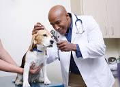 Petco Veterinary Services: Quality Care for Your Pet | Petco