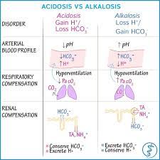 Acidosis Vs Alkalosis Renalphysiology Respiratoryphysiology Acidbase Physiology Anatomyandphysiology Usmlestep1 Us Medicinsk Utbildning Medicin Skola