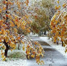 Marina Marina19619 Twitter Snow Pictures Beautiful Nature Landscape