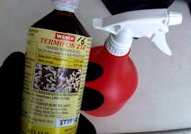 Agr environmental service sdn bhd 4686, jalan sri putri 5/6, taman putri kulai, 81000 kulai, johor, malaysia. Guna Air Cucian Beras Serta Air Garam Anda Boleh Musnahkan Anai Anai Tanpa Perlu Upah Kontraktor Impiana
