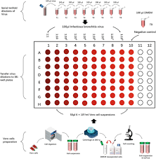 Image result for Neutralization Test