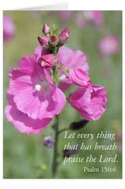 Let Everything That Has Breath Praise The Lord Bible Verse Pin On Bible Verses To Remember