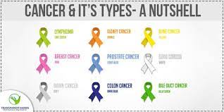 The following pictures show what different types of skin cancer look like, as well as. Cancer And Its 5 Different Types In A Nutshell Cancer