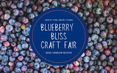 Blueberry Bliss Craft Fair