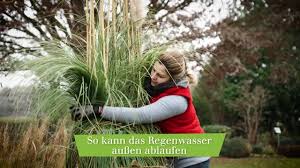 Zieht der frühling ins land, kann es sein, dass abgebrochene halme in ihrem garten zu finden sind. Ziergraser Uberwintern So Geht S Richtig Mein Schoner Garten
