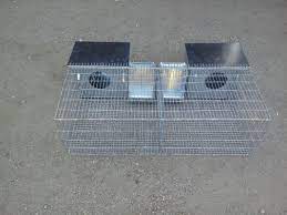 pin em chicken cages