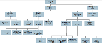 Organizational Structure Of Almika Reference Company 16