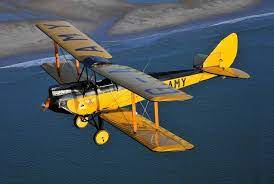 Natural dispersal occurs when newly hatched larvae the brown male gypsy moth emerges first, flying in rapid zigzag patterns searching for females. The Out Of Africa De Havilland Gipsy Moth Vintage Aircraft Out Of Africa Aircraft