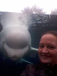 Michelle Brough (@memebrough)