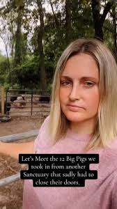 Ellie's Potbellies (@ellies_potbellies) • Instagram photos and videos