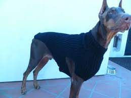 Check out our cat sweater pattern selection for the very best in unique or custom, handmade pieces from our patterns shops. 1 Please Take Out One Line From Page 1 From Bottom Page Up Line 13 Work Until Piece Meas Large Dog Sweaters Big Dog Sweaters Dog Sweater Pattern