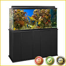 You're bound to find an aquarium shop that you can visit. Pet Shops Near Me That Sell Fish Tank