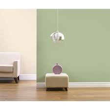 Dulux Silk 2 5l Putting Green In 2020 Living Room Green Paint Colors For Living Room Dulux