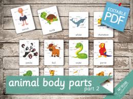 This will not only prove useful in a medical situation but also in informal speech as there are many english idioms. Label Animal Body Parts Worksheets Teaching Resources Tpt