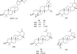Image result for Antidesma membranaceum