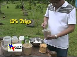 Hataw Pinoy Dr Teddy Tanchanco Feed Regimen 21 Days Keep