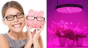 Bulk buy free grow lights online from chinese suppliers on dhgate.com. Best Cheap Grow Light 2021 Reviews