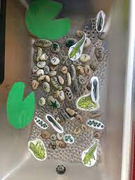 Frogs are fun creatures to learn about. Frog Tadpole Eyfs Activity Tray Frog Activities Butterflies Activities Turtle Activities