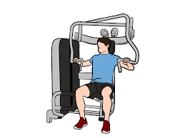 How To Do The Chest Press Machine in 5 Simple Steps - Graduate Fitness