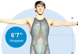 Maybe you would like to learn more about one of these? What Makes The Perfect Swimmer Body Underwater Audio