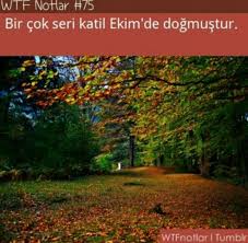 Ne Yapalim Yani Hey Sen Hangi Ayda Dogdun Ekim Herkes Kacsin Bu Insan Lady Agresif Biliyor Muydunuz Bilgi Burclar