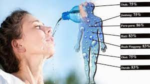 We did not find results for: Minum Air Putih Dengan Cara Ini Ternyata Bisa Kurangi Berat Badan 4 3 Kg Per Hari Tribun Jabar