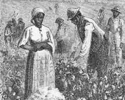 Image of American Slaves' Interconnectedness with National and Global Economies