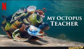 If we wind up wishing it had a little less man and a little more beast, that only serves its cause. My Octopus Teacher Ifunny