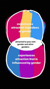 Being pansexual is an attraction to all types of people. Here S A Venn Diagram I Made Explaining The Difference Between Bi And Pan I See A Lot Of My Fellow Bisexuals Being Panphobic And I Wanted To Make Sure I Ve Got This