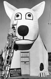 Black And White Spotted Dog Spotted Dog Roadhouse Retreat Cape Town Cape Town Cape Town South Africa Cape