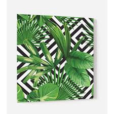 Fond De Hotte Plantes Exotiques Fond Geometrique En Panneau Composite Aluminium L 60 X H 70 Cm Achat Vente Hotte Cdiscount
