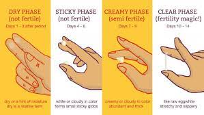 The color can vary from light yellow to dark or yellow brown with what causes a thick or watery yellowish discharge after menstruation? Cervical Mucus Chart Know When You Re Fertile Mama Natural