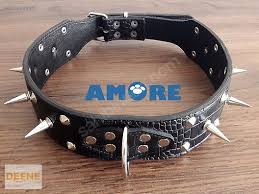 Deriden Dikenli Kopek Boyun Tasmasi Xlarge Sahibinden Comda 800222955