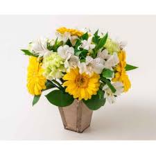 Todos os dias inclusive sábado e domingo pedidos realizados ate as 17 hrs pode ser entregues no mesmo dia. Entrega De Flores Rio De Janeiro Rio De Janeiro De Florista Online