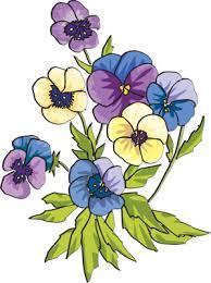 Web Development Flower Art Flower Prints Framed Pansies