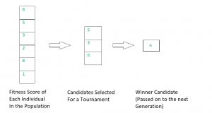 Tournament Selection Ga Geeksforgeeks