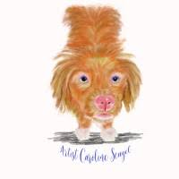 50+ "Scagel" profiles