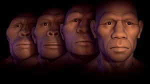 Homo sapiens kam fruher nach europa als bisher angenommen spektrum der wissenschaft / verändert sich · veränderte sich · hat sich verändert. Uberreste Gefunden Homo Sapiens Wanderte Fruher Aus Afrika Aus Ratgeber Bild De