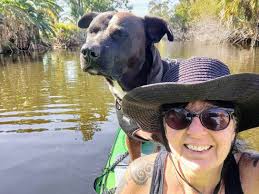 Laura Pickell McCann Art