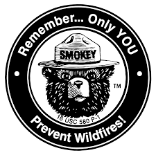 Filson X Smokey Campfire Safety Smokey The Bears Smokey Bear Tattoos